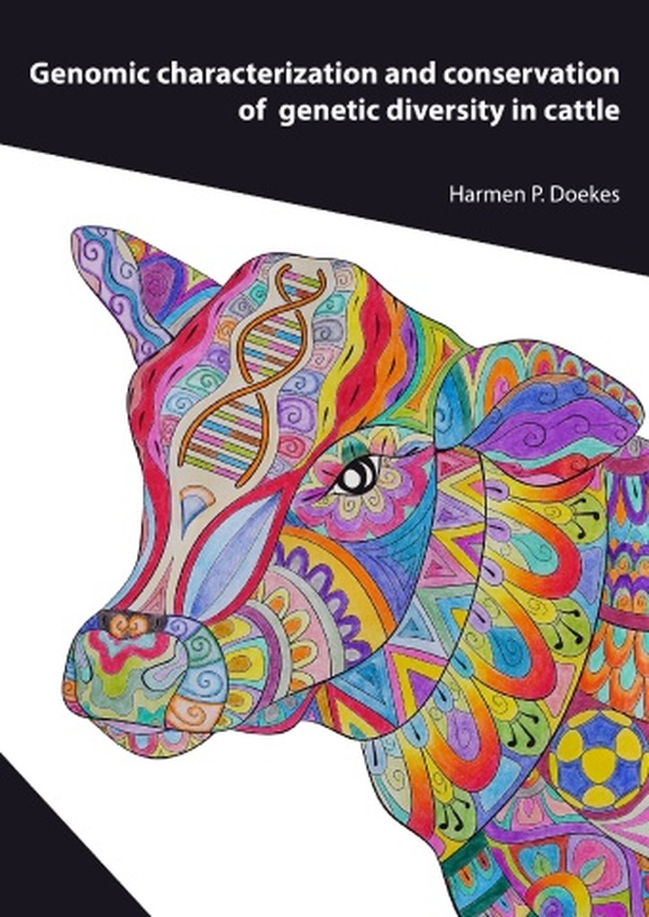 Harmen Doekes